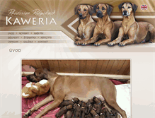 Tablet Screenshot of kaweria.com